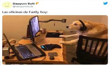 Los mejores memes tras la caída masiva de Internet en el mundo Los mejores memes tras la caída masiva de Internet en el mundo