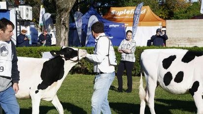 TodoLáctea 2025: Pullaro inaugura la mega muestra lechera en Santa Fe