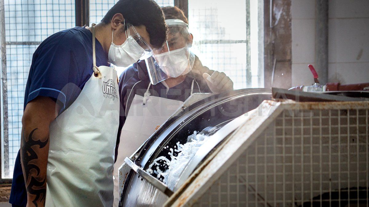 Trabajadores del lavadero del Hospital José María Cullen, observando y controlando la primera etapa del proceso.