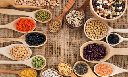 Semillas para incorporar proteína vegetal de manera aludable. Semillas para incorporar proteína vegetal de manera aludable.