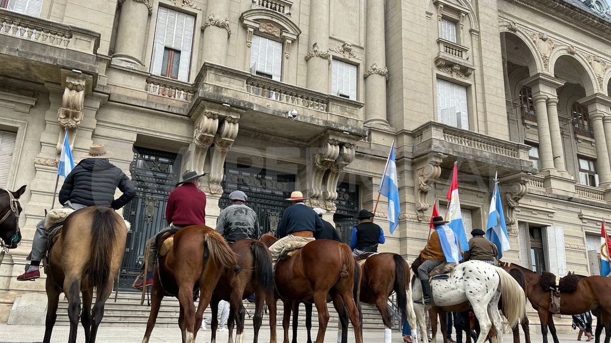Damnificados por el robo de caballos y de faenas clandestinas de la zona marcharon hasta Casa de Gobierno.