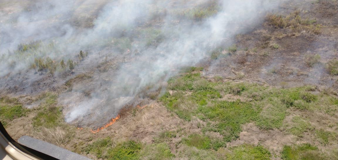 Sergio Federovisky aseguró que