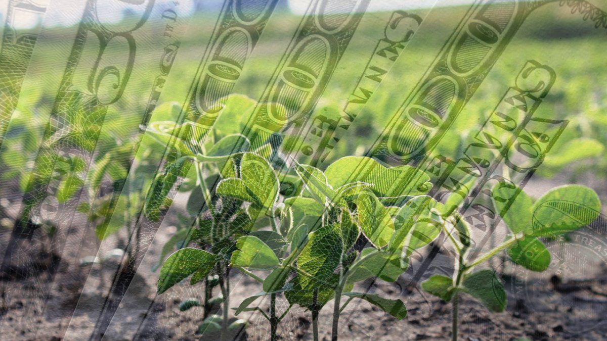 Desde el sector productivo recalcaron el fracaso que tuvo el dólar soja.