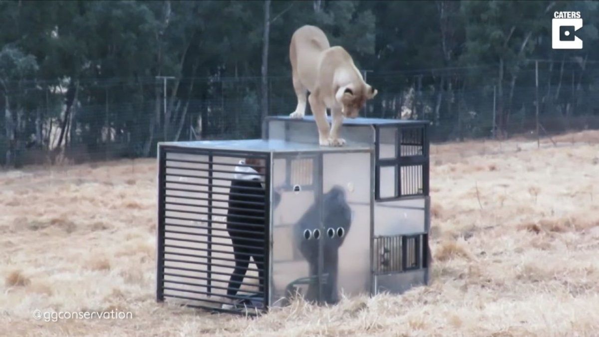 Vivir el encierro desde otra perspectiva.