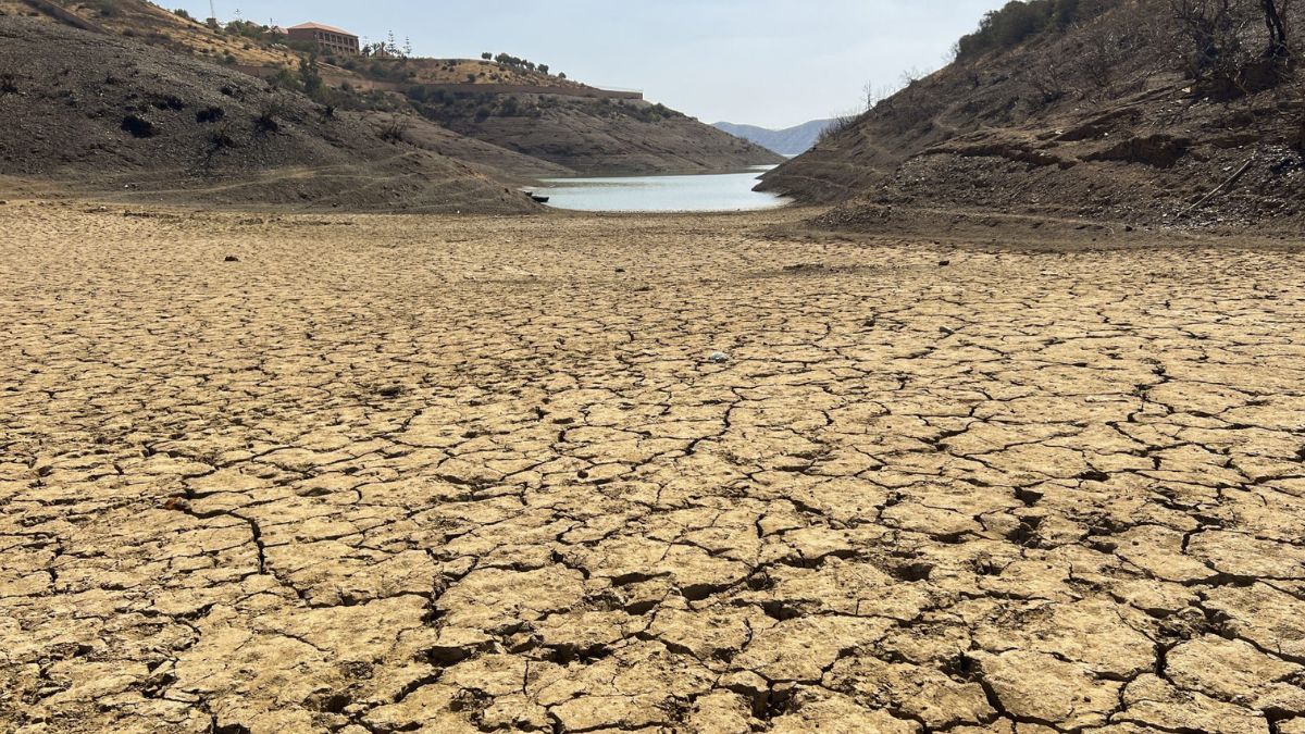 Las precipitaciones registradas durante el último trimestre llegaron a apenas 21 milímetros en total. Las precipitaciones registradas durante el último trimestre llegaron a apenas 21 milímetros en total.