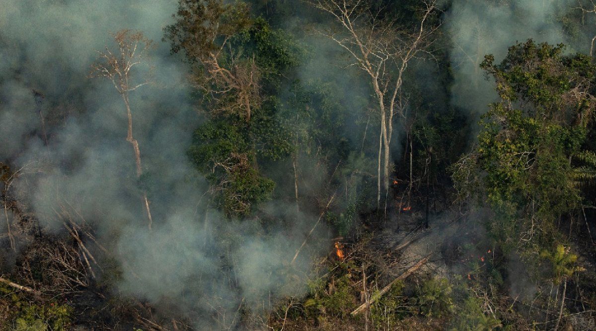 Las emisiones detectadas en su mayoría fueron causadas por incendios forestales, muchos de ellos generados por el ser humano.