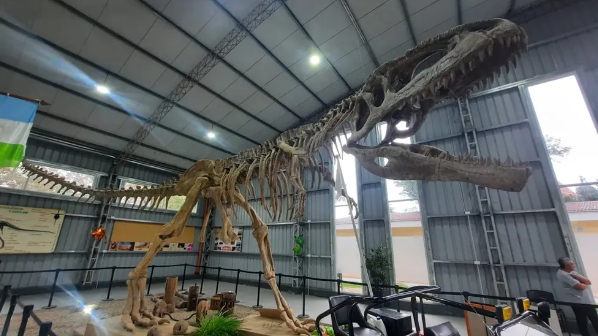 La Casa del Giganotosaurus Carolini. Gentileza: Marina Perassi La Casa del Giganotosaurus Carolini. Gentileza: Marina Perassi