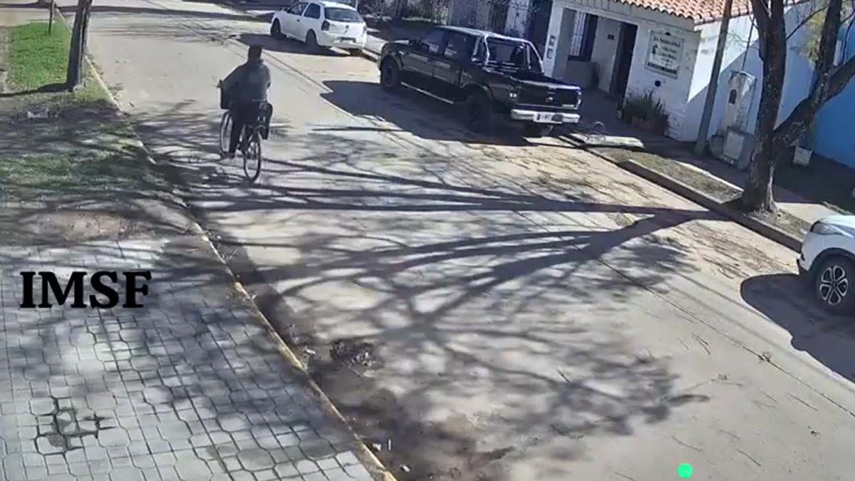 Una cámara de seguridad en San Carlos registró como una ciclista pasó segundos antes de que se desplome un árbol en el mismo lugar.