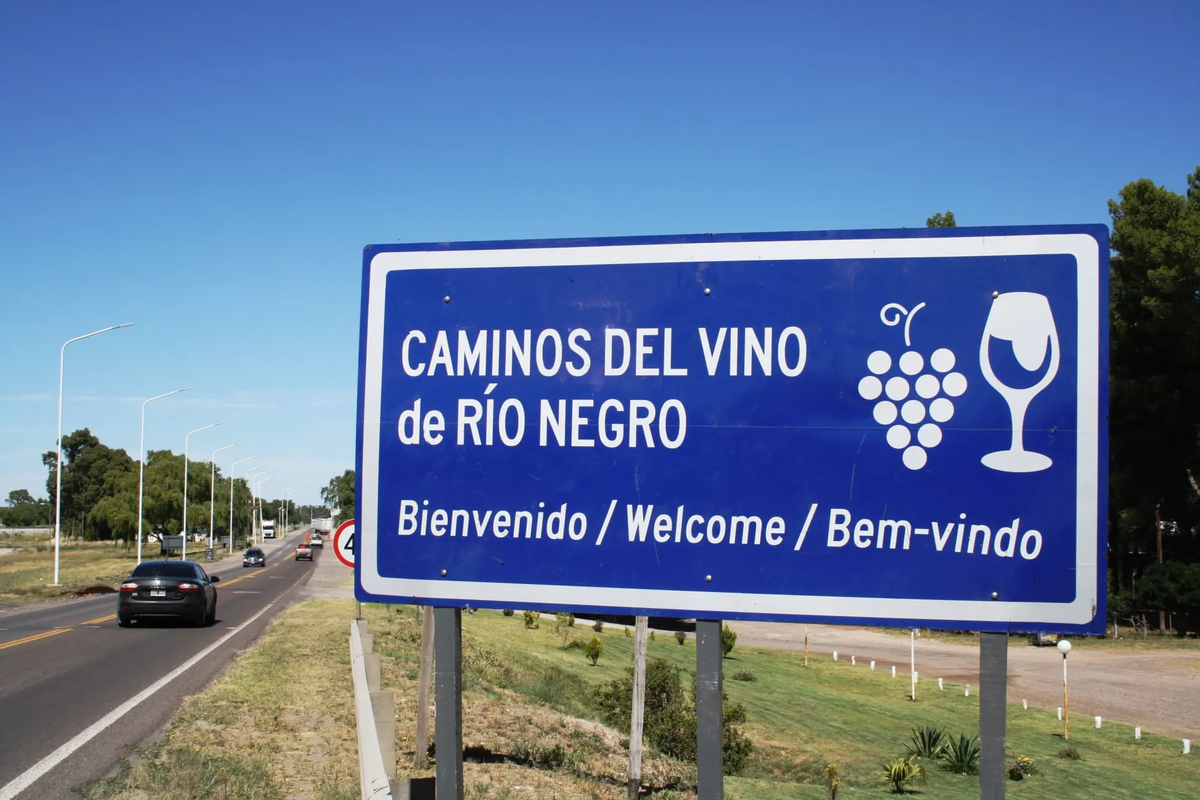 Sobre los Caminos del Vino