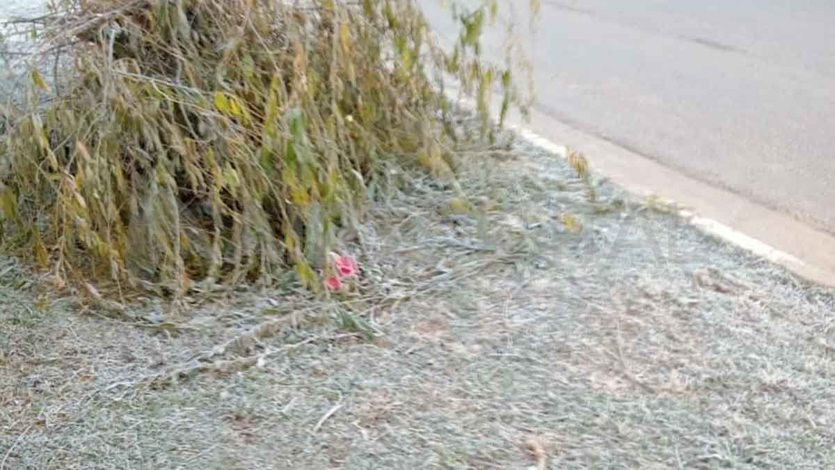 "Buen día, esta es la helada del día de hoy. Así estaba a las 8.30 en Santa Rosa de Calchines", escribió un oyente.