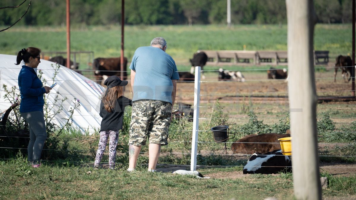 La guachera en la que se crían las terneras es uno de los lugares preferidos de los chicos. La guachera en la que se crían las terneras es uno de los lugares preferidos de los chicos.