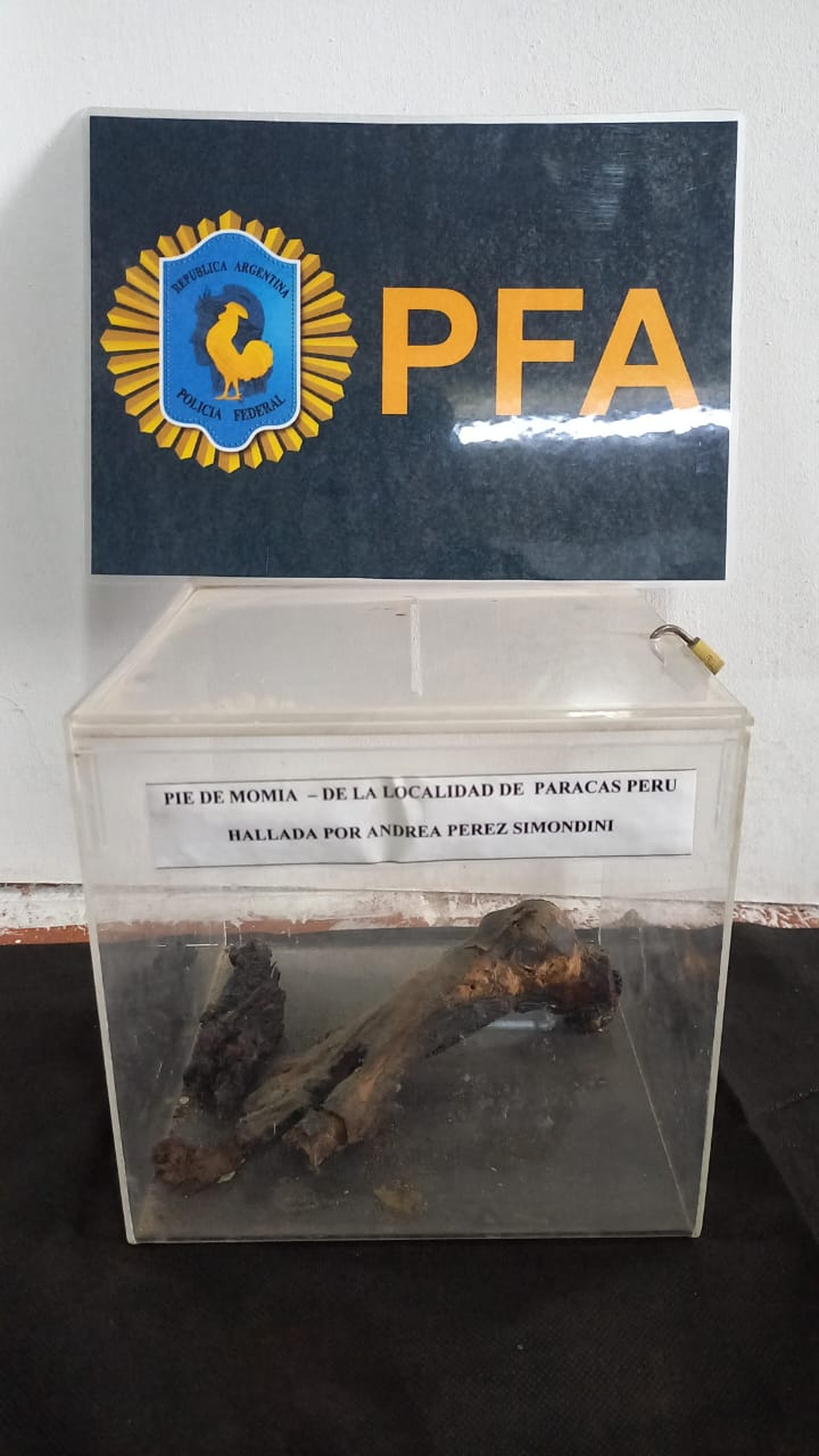 La Policía Federal recuperó un pie de momia del Museo del Ovni de Victoria, Entre Ríos, luego de una denuncia de la Embajada de Perú. La Policía Federal recuperó un pie de momia del Museo del Ovni de Victoria, Entre Ríos, luego de una denuncia de la Embajada de Perú.