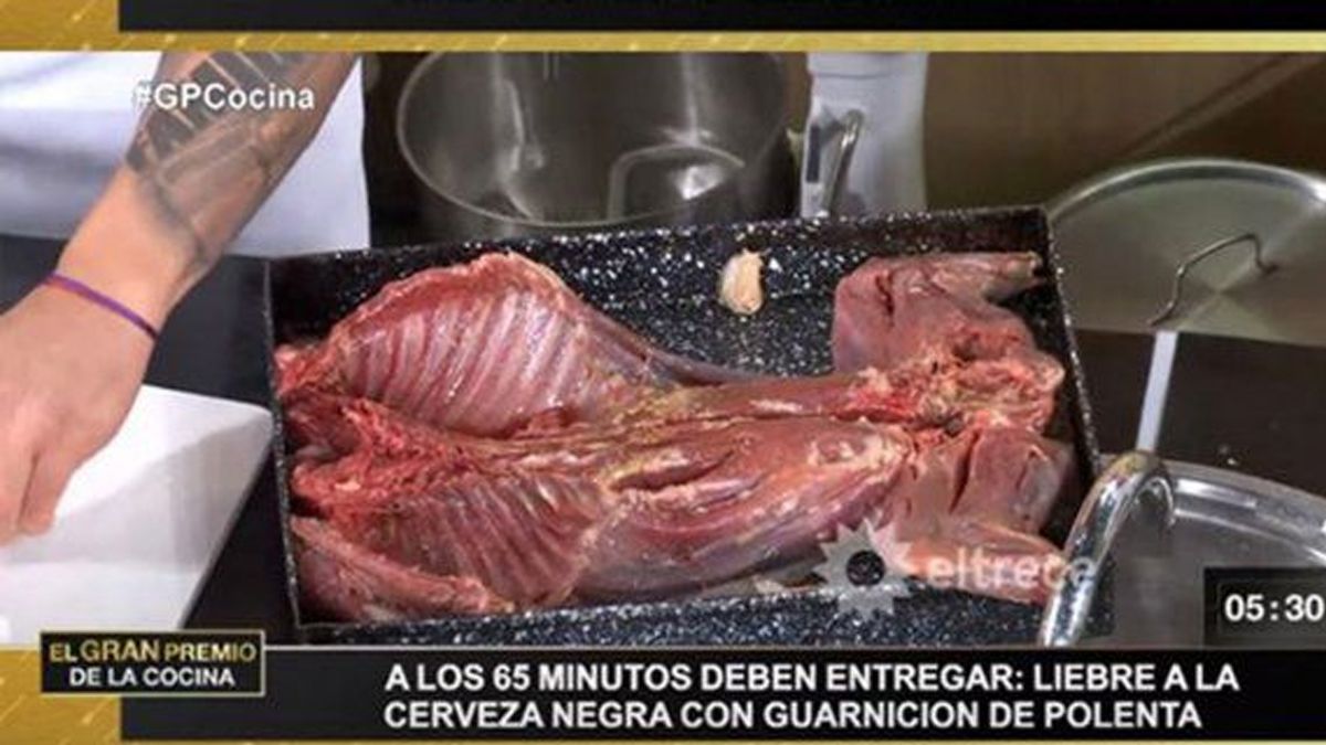 Denuncian penalmente a programa de cocina en Río Negro por realizar platos con liebre patagónica