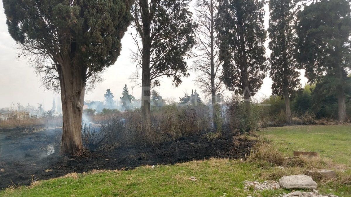 Un campo se incendió en Santo Tomé.&nbsp;