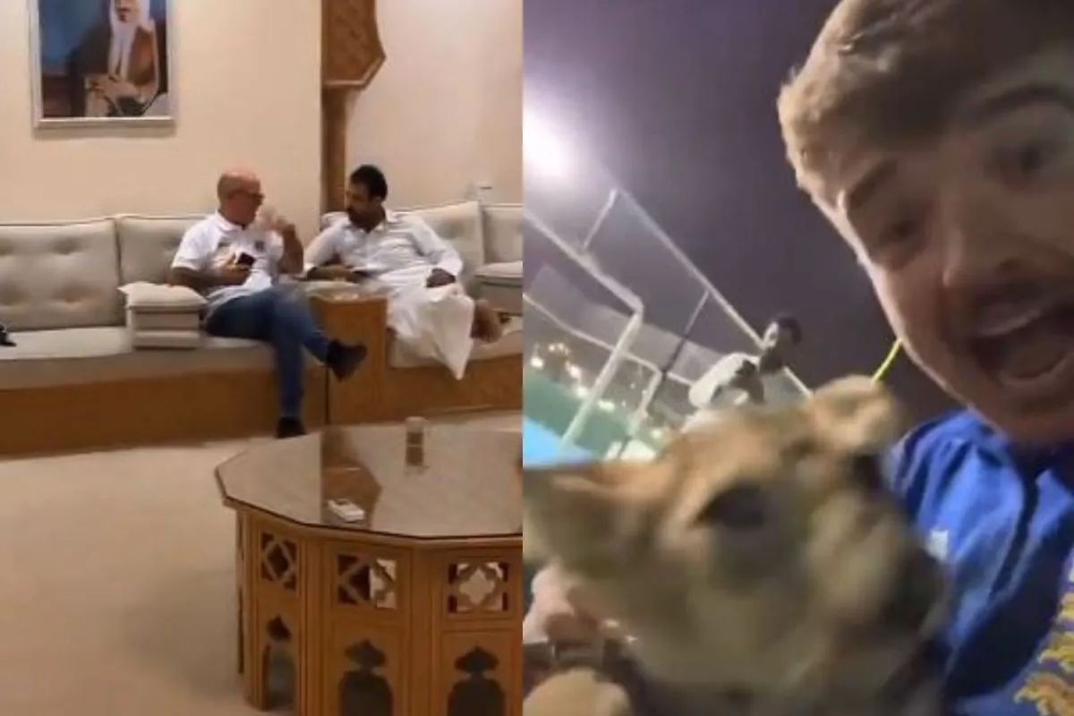 Dos hinchas ingleses terminaron en el palacio de un jeque con un león.