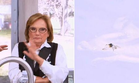 Paula Paternoster, la participante de Bake Off que había generado, sufrió un percance en el desafío del lunes. Paula Paternoster, la participante de Bake Off que había generado, sufrió un percance en el desafío del lunes.