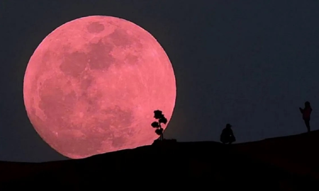 Luna llena rosa: cuándo ver uno de los grandes fenómenos de abril Luna llena rosa: cuándo ver uno de los grandes fenómenos de abril