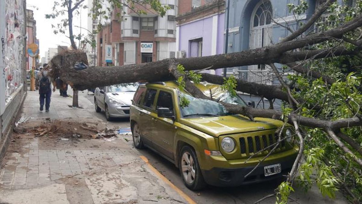 Fuertes vientos que azotaron a distintas regiones del país provocaron destrozos en Córdoba.&nbsp;