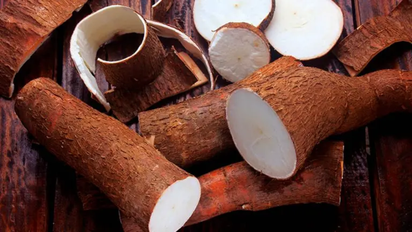 Ni al horno ni salteada: la mejor forma de cocinar mandioca para mantener sus nutrientes