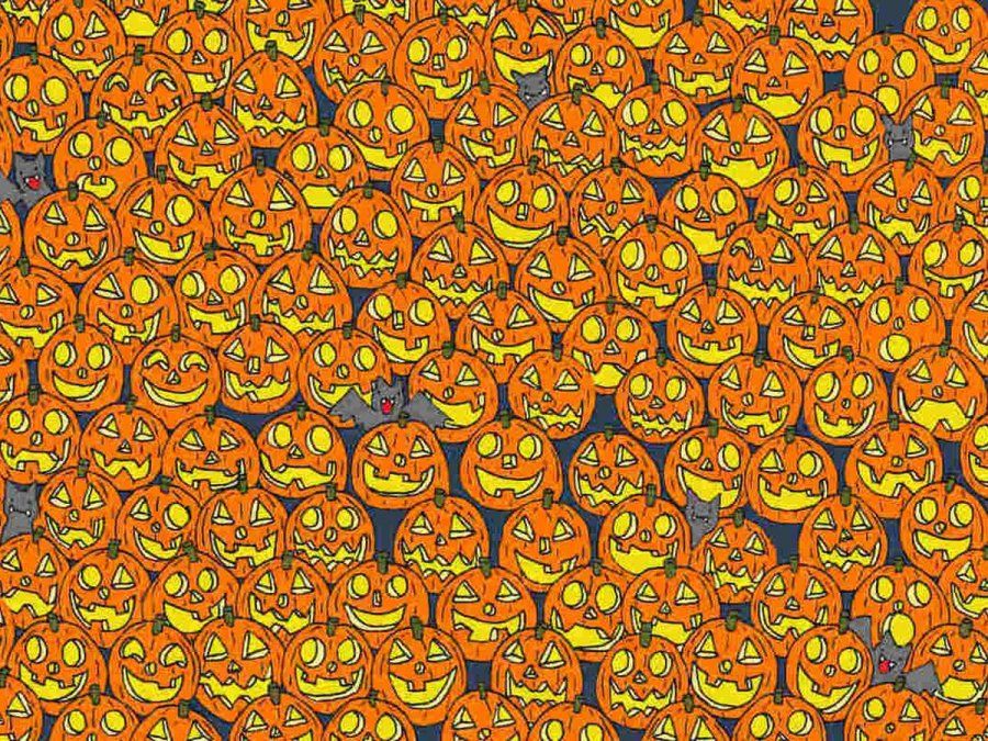 Encontrá la calabaza sin nariz en la foto.