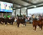 expo rural de san justo: cuatro dias que pueden transformar los proximos anos expo rural de san justo: cuatro dias que pueden transformar los proximos anos
