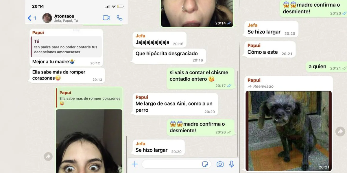 Una joven compartió el chat de WhatsApp entre sus padres separados.