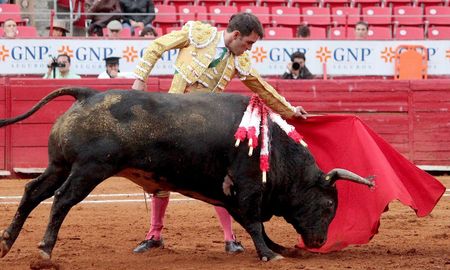 Iniciativa parlamentaria busca prohibir las corridas de toros en la Ciudad de México. Iniciativa parlamentaria busca prohibir las corridas de toros en la Ciudad de México.