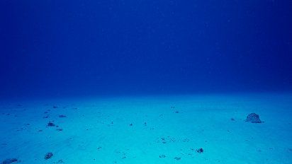 Esta es la razón por la que se está hundiendo el fondo del mar