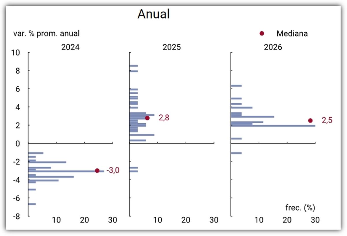 Fuente: REM - Banco Central. Fuente: REM - Banco Central.