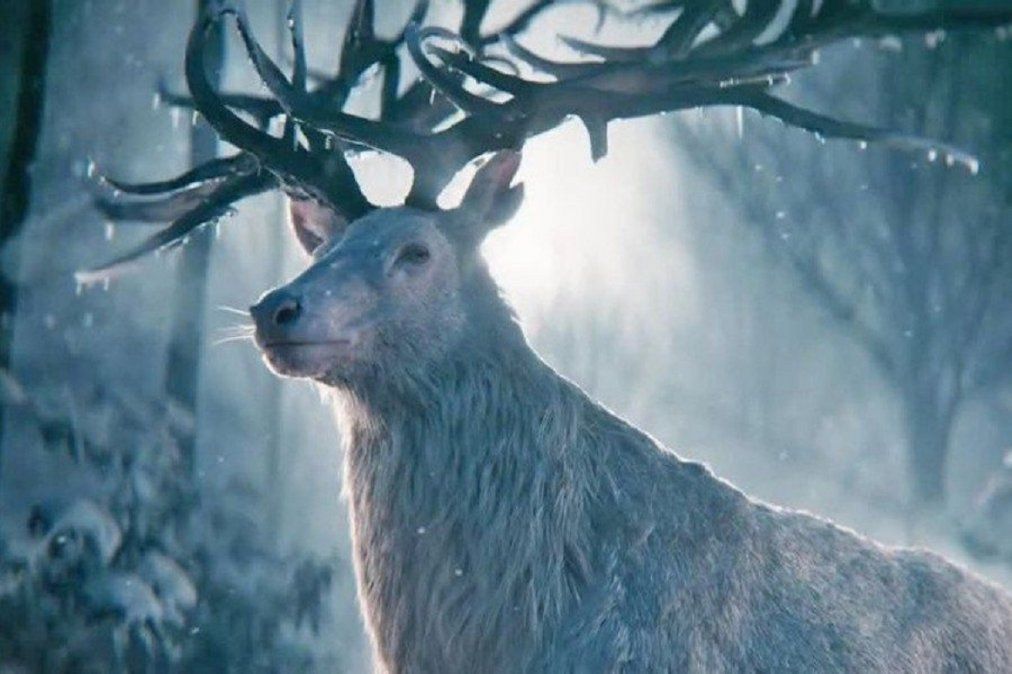 Sombra y hueso: la serie de Netflix que espera ser un éxito.