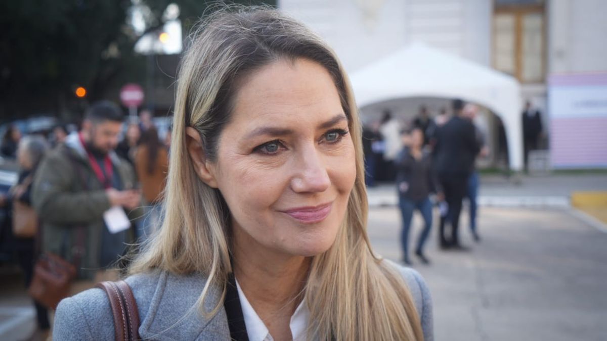 La Libertad Avanza quiere convertir en ley en la primera semana de mayo y por eso motivo el próximo miércoles 22 buscará firmar dictamen sobre esta iniciativa en un plenario de las comisiones de Justicia y Asuntos Penales y de Seguridad Interior, que presiden el libertario Gonzalo Guzmán Coraita y la radical Carolina Losada. La Libertad Avanza quiere convertir en ley en la primera semana de mayo y por eso motivo el próximo miércoles 22 buscará firmar dictamen sobre esta iniciativa en un plenario de las comisiones de Justicia y Asuntos Penales y de Seguridad Interior, que presiden el libertario Gonzalo Guzmán Coraita y la radical Carolina Losada.