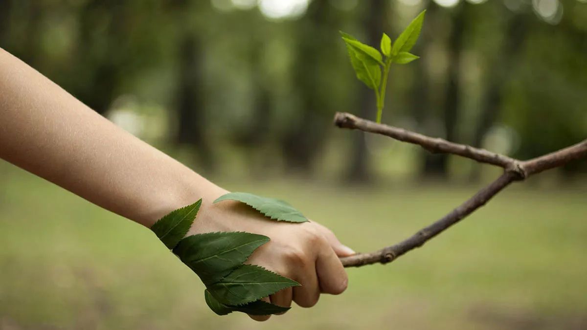 El objetivo de la Ley Yolanda es garantizar la formación integral en ambiente