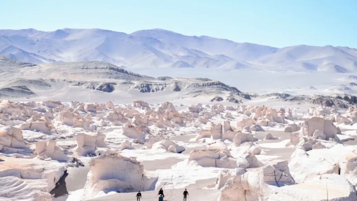 El Campo de Piedra Pómez, son unas formaciones rocosas blancas que parecen salidas de otro planeta y son consideras el principal atractivo de toda la provincia. El Campo de Piedra Pómez, son unas formaciones rocosas blancas que parecen salidas de otro planeta y son consideras el principal atractivo de toda la provincia.