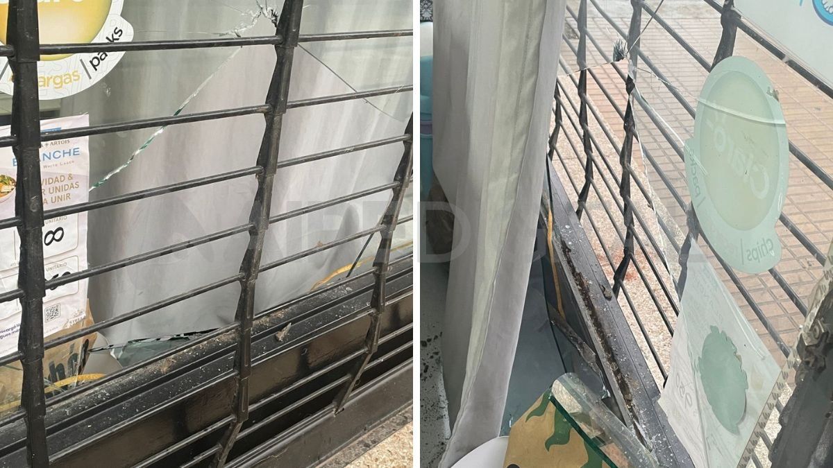 Los vidrios son costosos de reponer por el gran tamaño que tienen. Los vidrios son costosos de reponer por el gran tamaño que tienen.