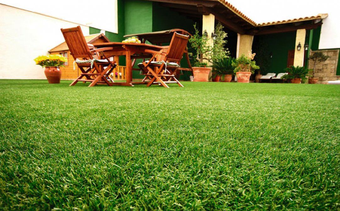 Cuáles son los cuidados que tus plantas necesitan para mantenerse sanas en invierno