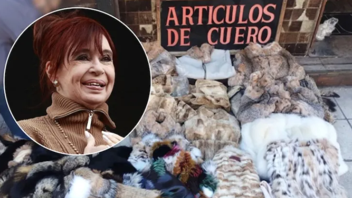 Detuvieron a un hombre que vendía indumentaria confeccionada con pieles de animales en peligro de extinciónMinisterio Público Fiscal.