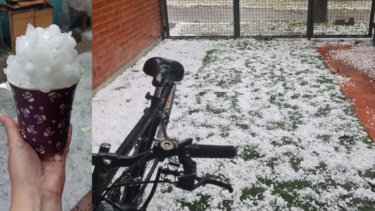 La caída de granizo no tardó en compartirse por miles de usuarios en redes sociales. La caída de granizo no tardó en compartirse por miles de usuarios en redes sociales.