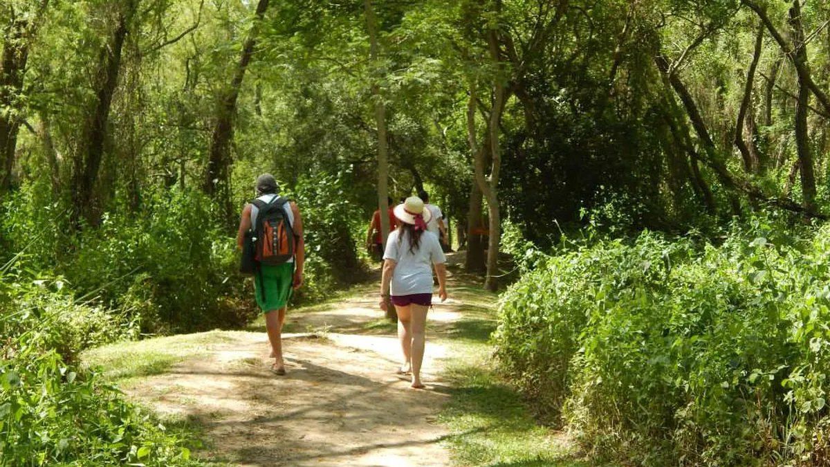Escapada ideal de feriado: lejos del ruido de la ciudad y a solo 40 minutos de Santa Fe