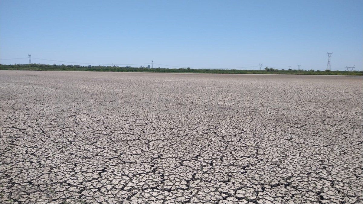Las personas para observar el fenómeno que generó la bajante en la ex laguna Bedetti.
