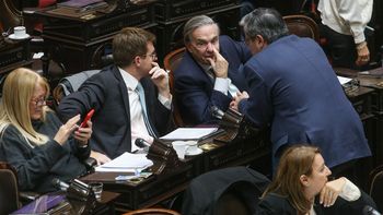 La oposición logró rechazar el veto de Javier Milei a la ley de emergencia en discapacidad