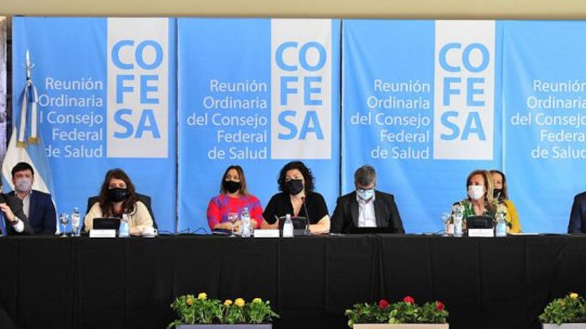 El Consejo Federal de Salud se reúne este viernes y se esperan definiciones en materia sanitaria en diferentes provincias argentinas. 
