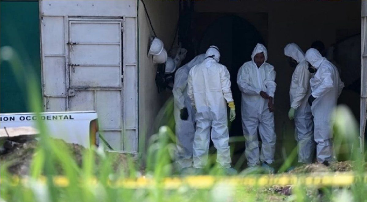 Encontraron 14 cuerpos en la casa de un ex Policía y temen que haya 40 más enterrados