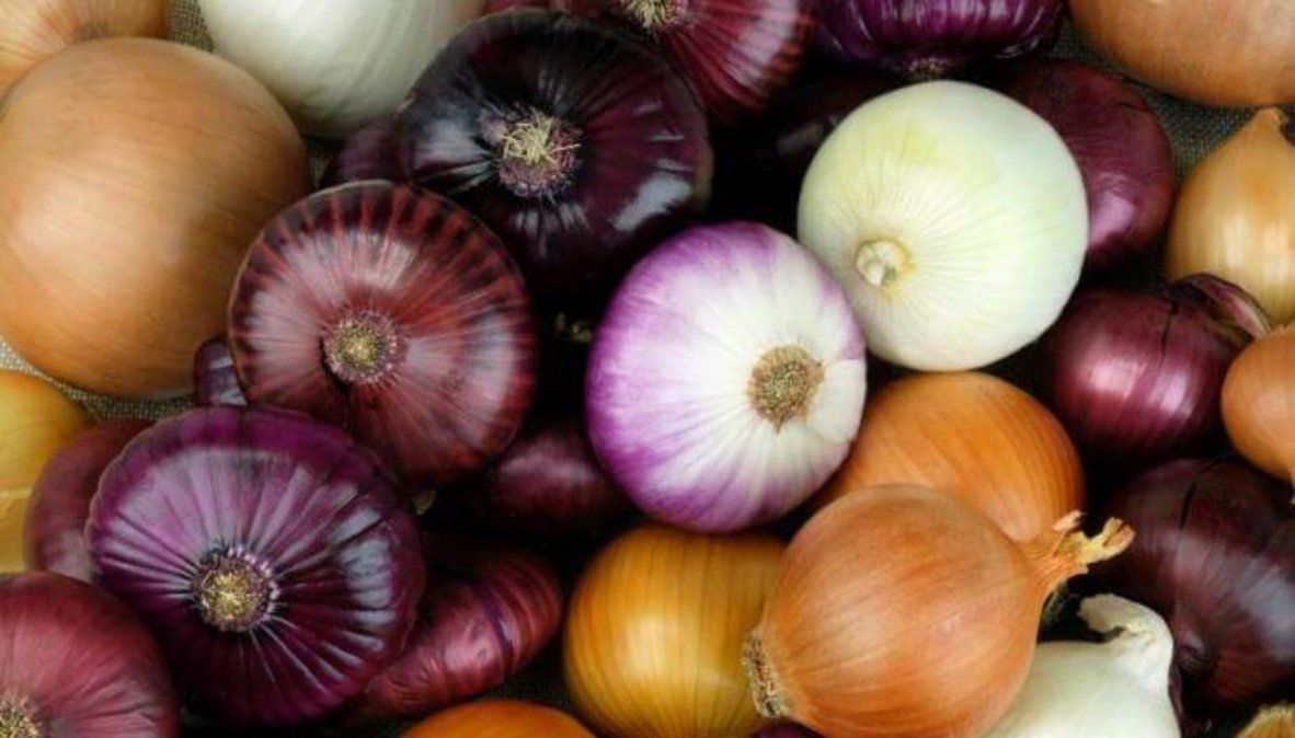 Alimentos que fortalecen los pulmones durante todo el año