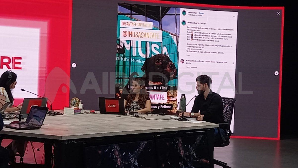 El fuerte del Imusa son las castraciones. La atención se brinda en puestos fijos y móviles, a los fines de favorecer la tenencia responsable de los animales de compañía y mejorar la calidad de vida de toda la población.