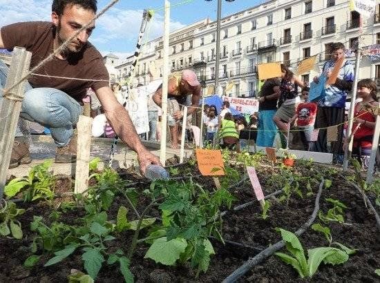 Jardinería, uno de los hobbies más entretenidos