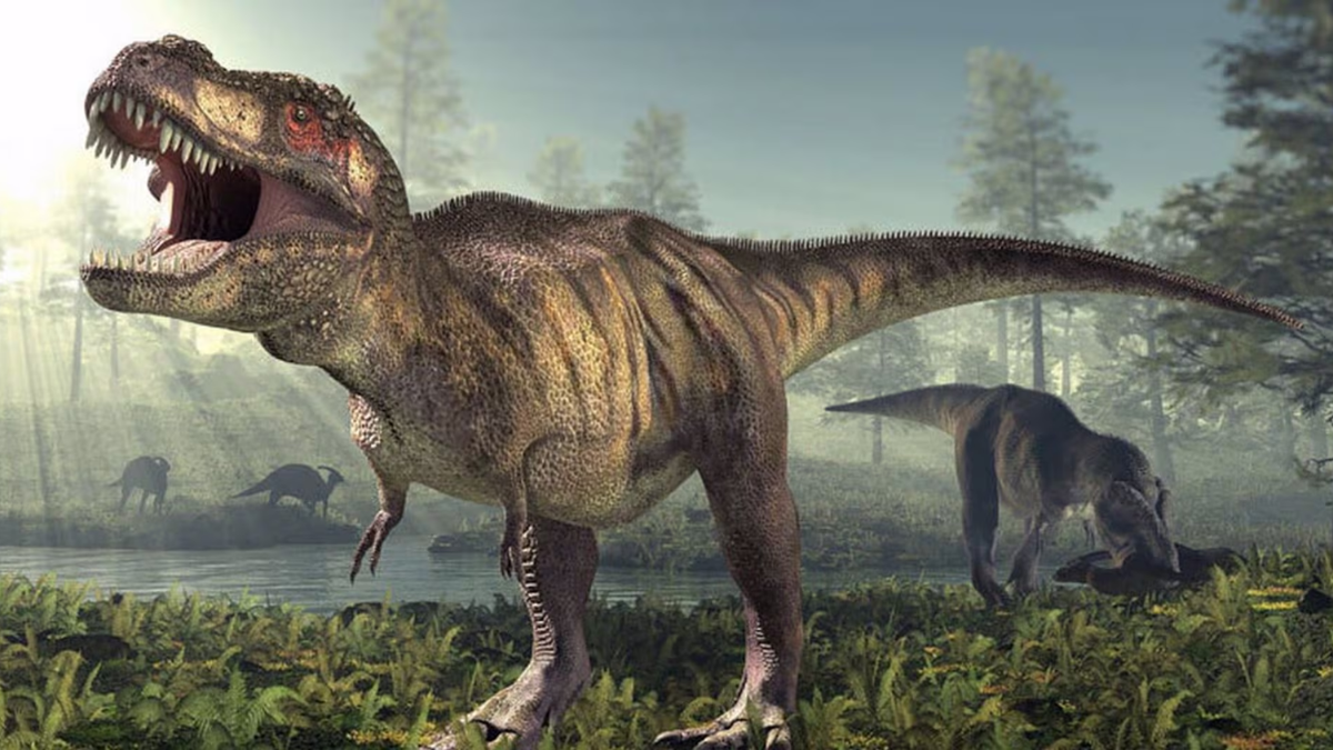 Revelan por qué el Tiranosaurio rex tenía los brazos tan pequeños