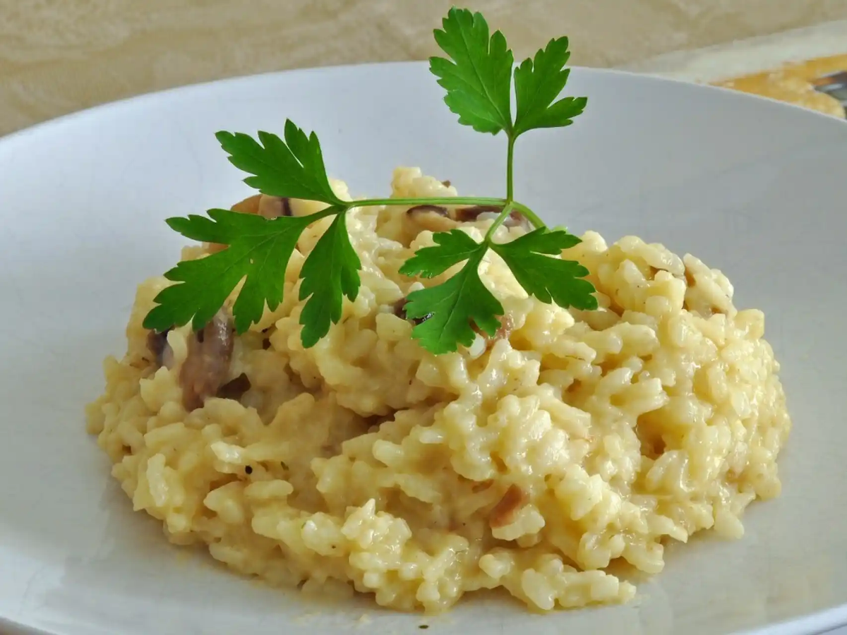 El risotto es uno de los mejores acompañantes para todas las comidas. El risotto es uno de los mejores acompañantes para todas las comidas.