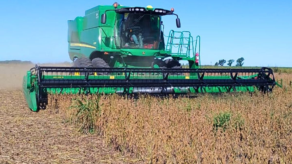 La provincia de Santa Fe exige la eliminaci&oacute;n definitiva de retenciones de las exportaciones del campo.