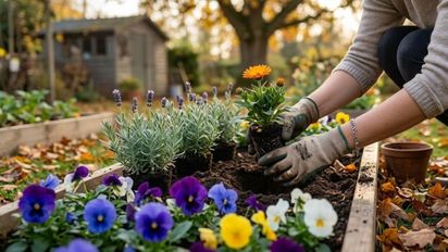 Las 3 plantas que podés poner hoy en tu jardín pensando en el invierno 2026