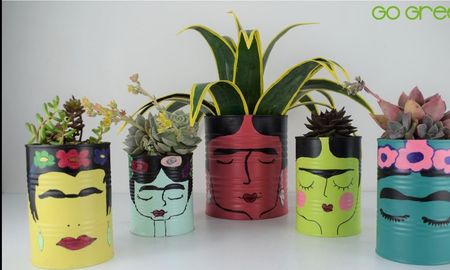 Macetas para alegrar tus plantas. Macetas para alegrar tus plantas.